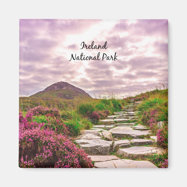 Ireland National Park Magnet (Front)