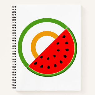 IRELAND STANDS WITH PALESTINE - Watermelon Notebook