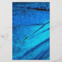 Iridescent Blue Butterfly Wing