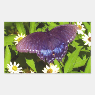 Iridescent Blue Purple with Black Butterfly Wings Sticker
