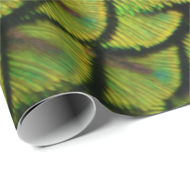 Iridescent Green Yellow Peacock Tail Feathers Wrapping Paper (Roll Corner)
