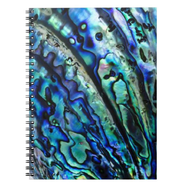 Iridescent Paua Abalone Shell Notebook (Front)