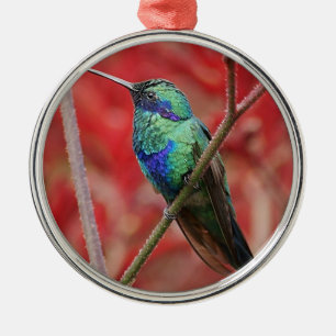Iridescent Shine Metal Ornament