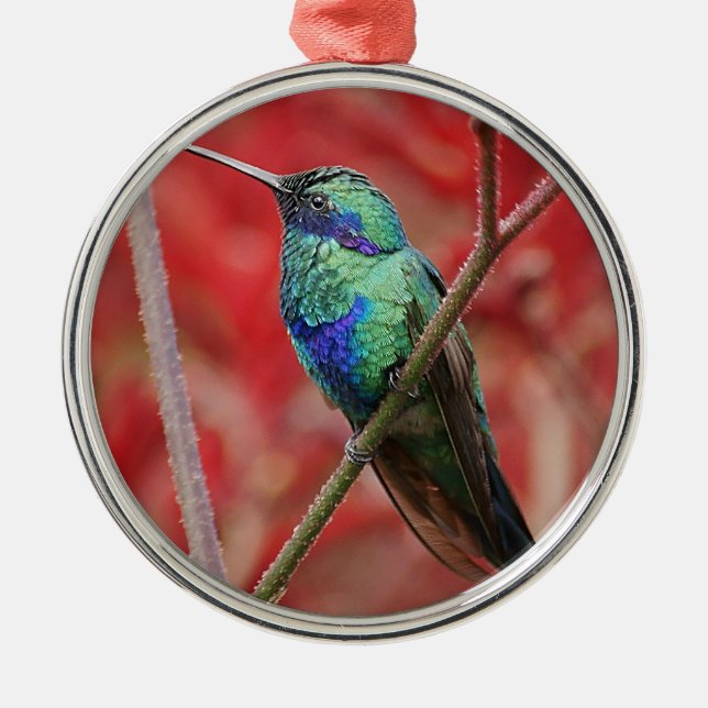 Iridescent Shine Metal Ornament (Front)