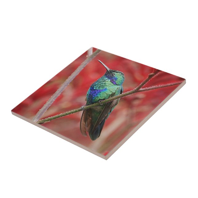 Iridescent Shine Tile (Side)