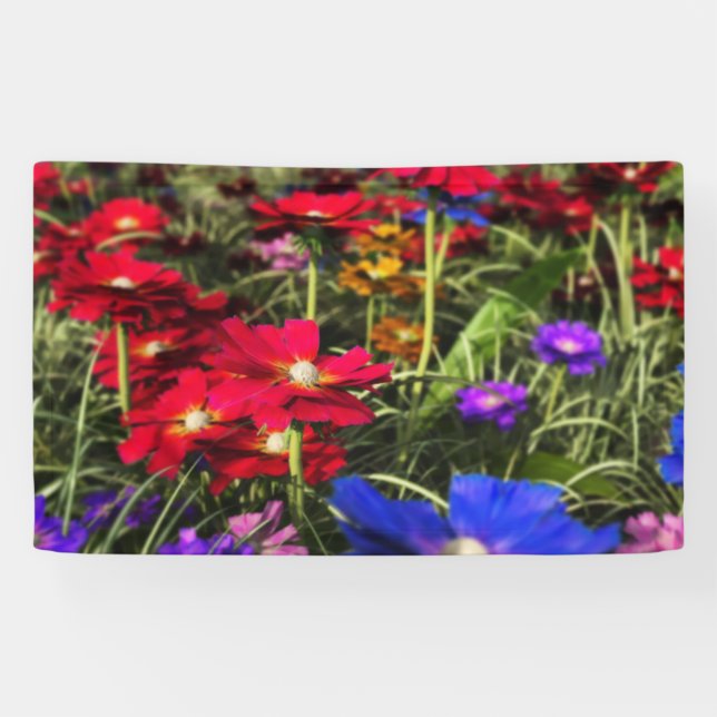 Iridescent Spring Banner (Horizontal)