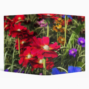 Iridescent Spring Binder