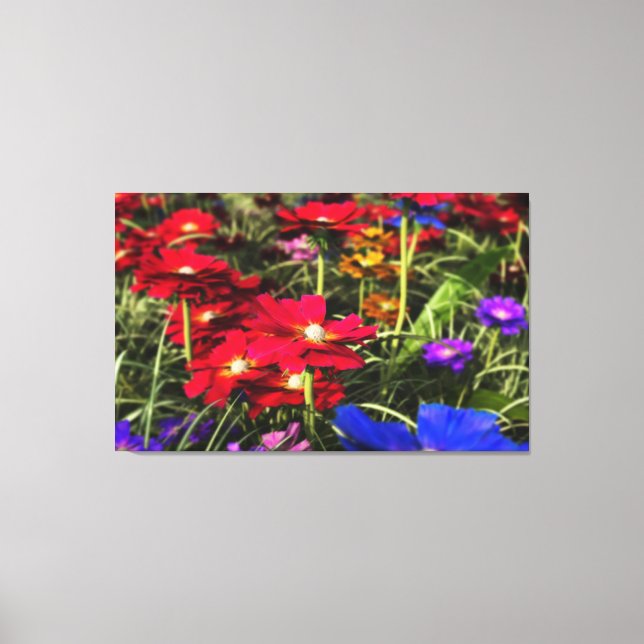 Iridescent Spring Canvas Print (Front)