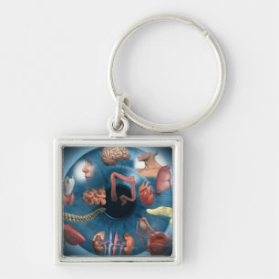 Iridology Keychain
