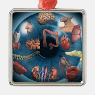 Iridology Metal Ornament