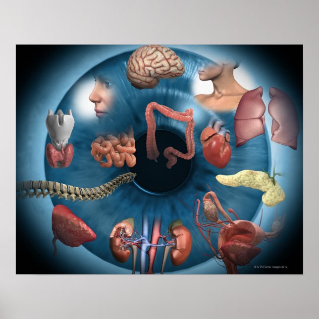 Iridology Poster (Front)