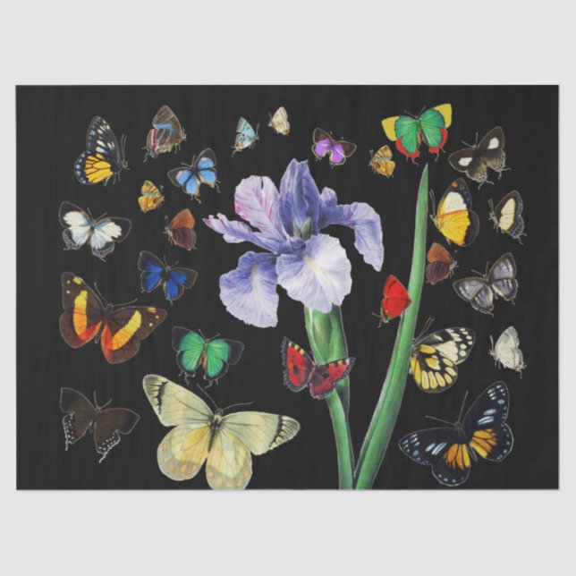 IRIS AMONG COLORFUL BUTTERFLIES Black Floral Tissue Paper (Front)