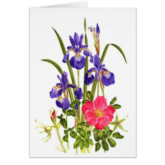Iris and Beach Rose
