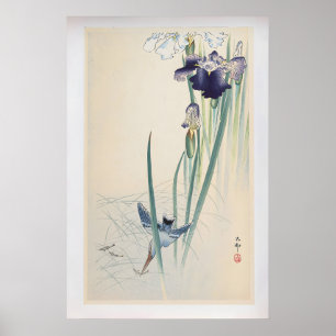 Iris and Kingfisher by Ohara Koson  Vintage Poster