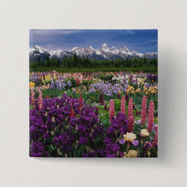 Iris and Lupine garden and Teton Range, 2 Inch Square Button (Front)