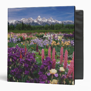 Iris and Lupine garden and Teton Range, Binder
