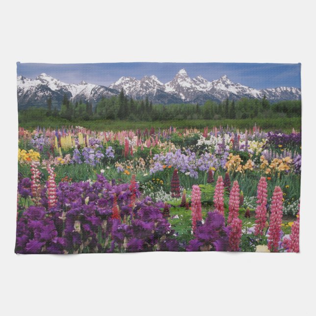 Iris and Lupine garden and Teton Range, Kitchen Towel (Horizontal)