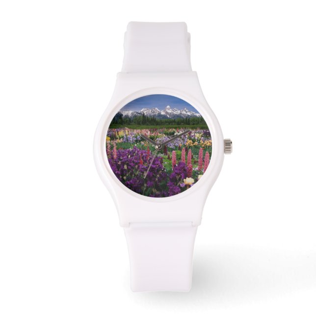 Iris and Lupine garden and Teton Range, Watch (Front)