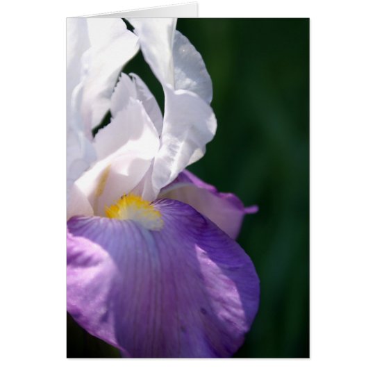 Iris Beauty Card