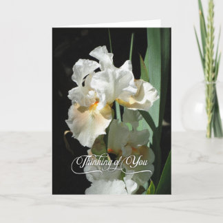 Iris blanc pensant à vous carte vierge