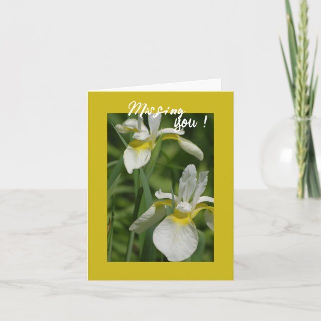 Iris blancs - Carte You Missing (Devant)