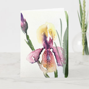 Iris - Blank inside greeting card 