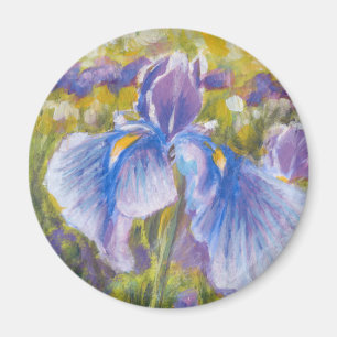 Iris-Bleu, pourpre, aimant de