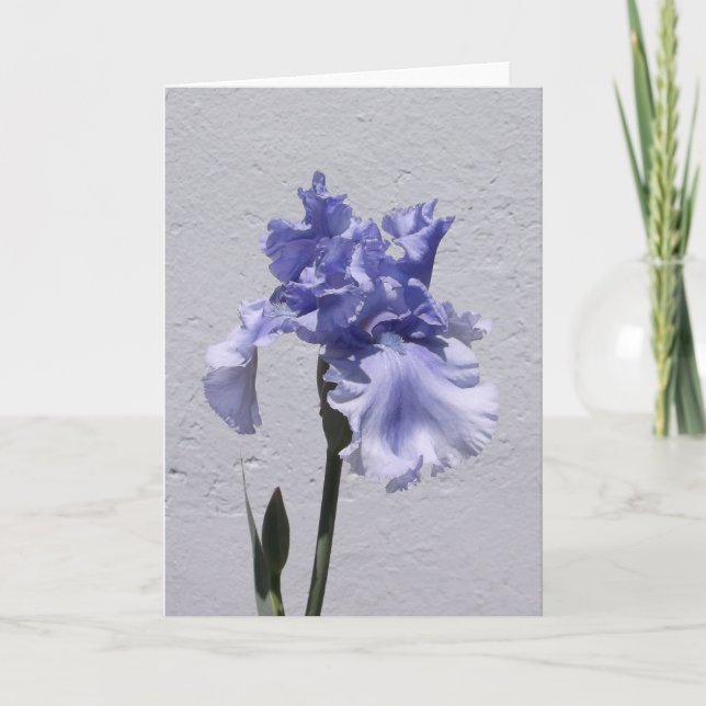 Iris Bloom Card (Front)