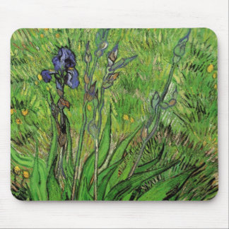 Iris by Vincent van Gogh, Vintage Garden Fine Art Mouse Pad
