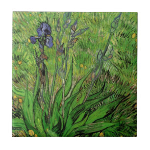 Iris by Vincent van Gogh, Vintage Garden Flowers Tile