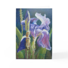 Iris