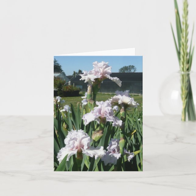 IRIS CARD - STAWBERRY FROSTING - Blank Note Card (Front)