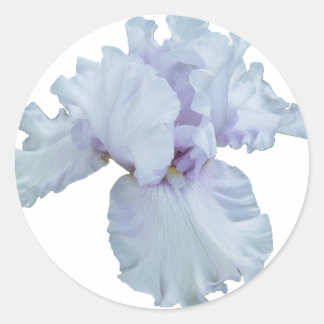 Iris Classic Round Sticker
