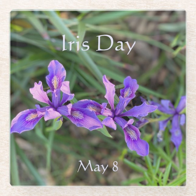 Iris Day, May 8 Glass Coaster (Front)