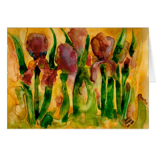 Iris de Yupo