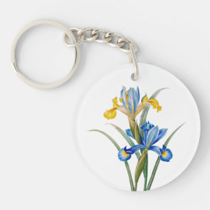 Iris d'Espagne par Pierre-Joseph Redouté
