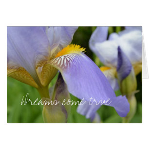 Iris-Dreams violets deviennent réalité