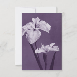 Iris Fine Art Thank You Card