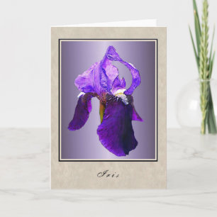 Iris - Floral Series Card