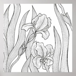 Iris flower designed with black ink poster