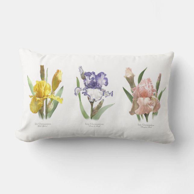Iris Flower Garden Lumbar Pillow (Front)