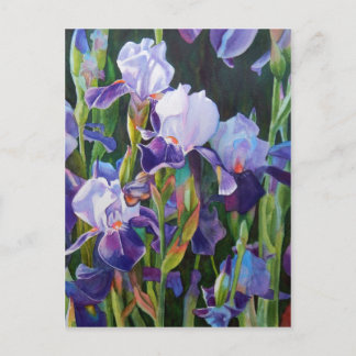 Iris Flower Garden Postcard