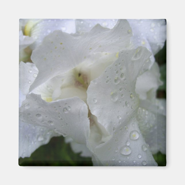 Iris flower magnet (Front)