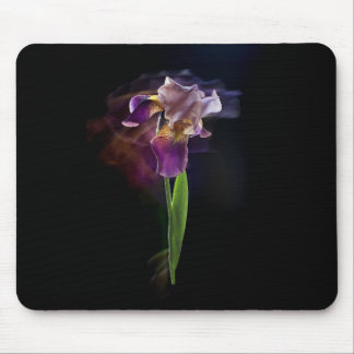 Iris flower on a black background. Long exposure. Mouse Pad