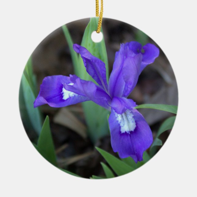 Iris Flower Ornament  (Front)