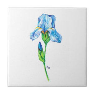 Iris flower tile