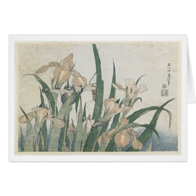 Iris Flowers and Grasshopper, c.1830-31 (Front Horizontal)