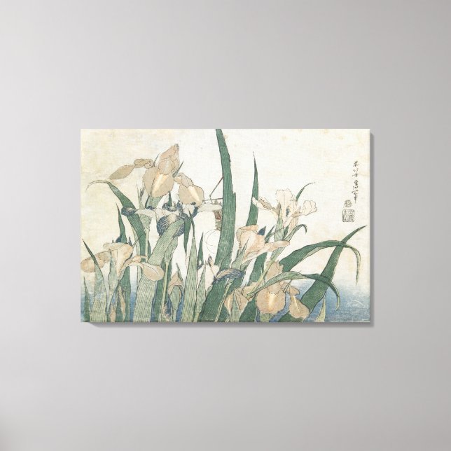 Iris Flowers and Grasshopper, c.1830-31 Canvas Print (Front)