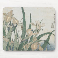 Iris Flowers and Grasshopper, c.1830-31