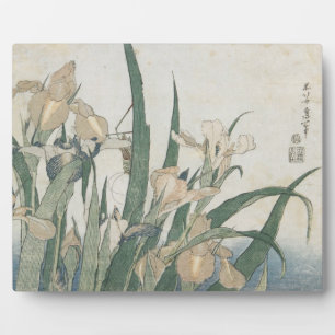 Iris Flowers and Grasshopper, c.1830-31 Plaque